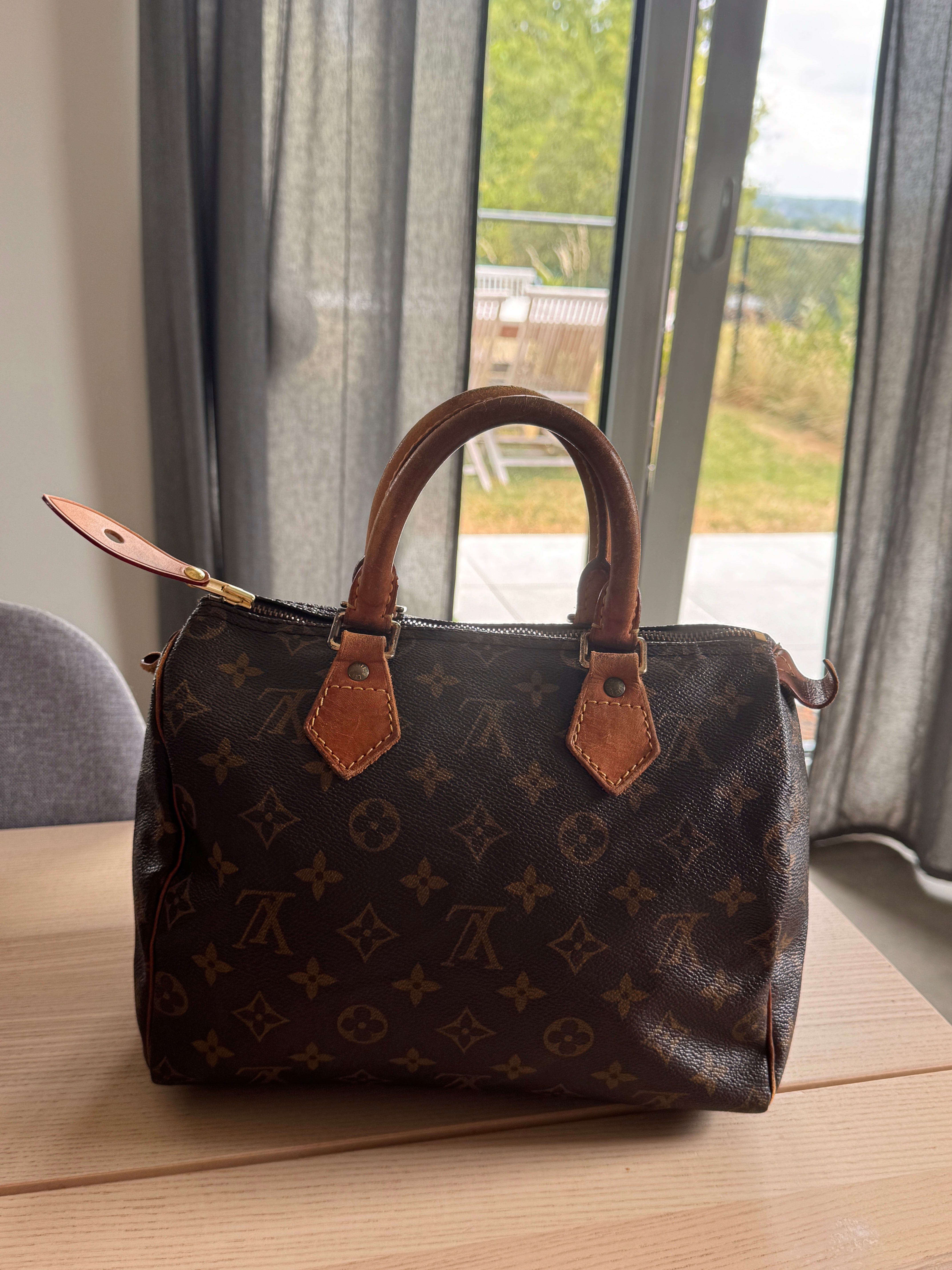 Louis Vuitton Speedy 25 monogram Lola Collective