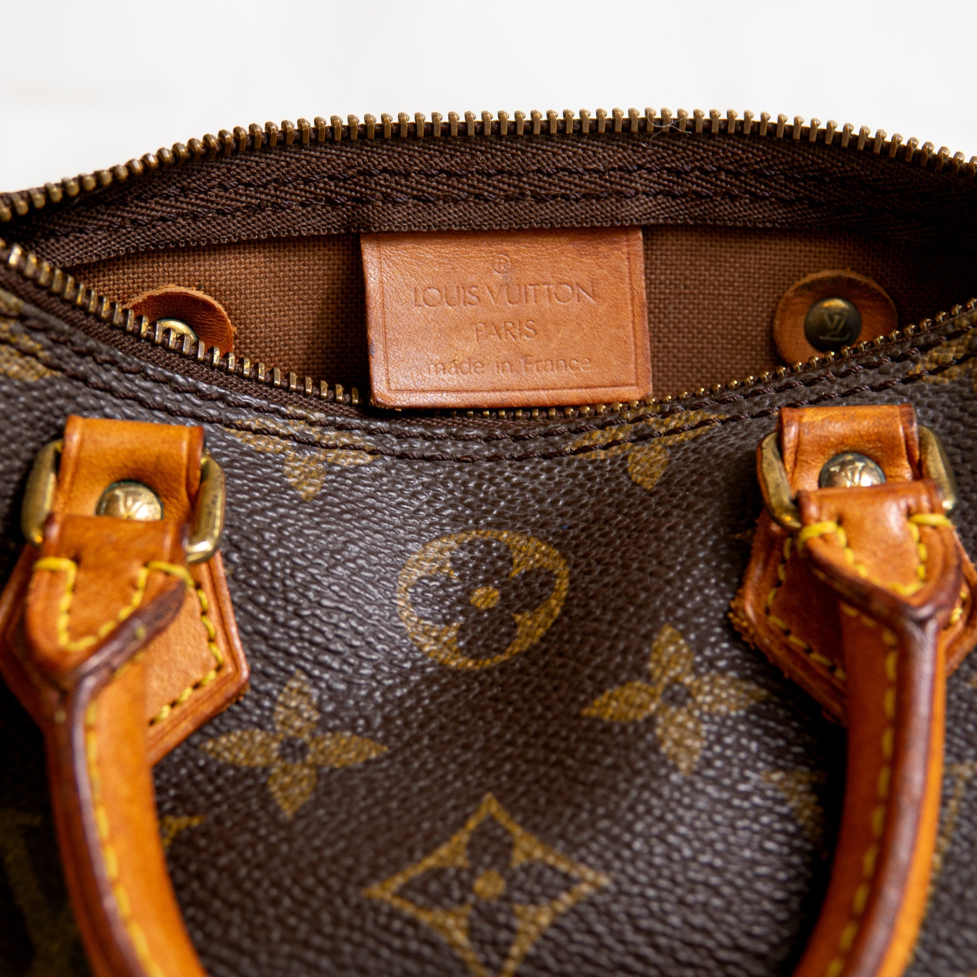 Louis Vuitton Nano Speedy monogram Lola Collective