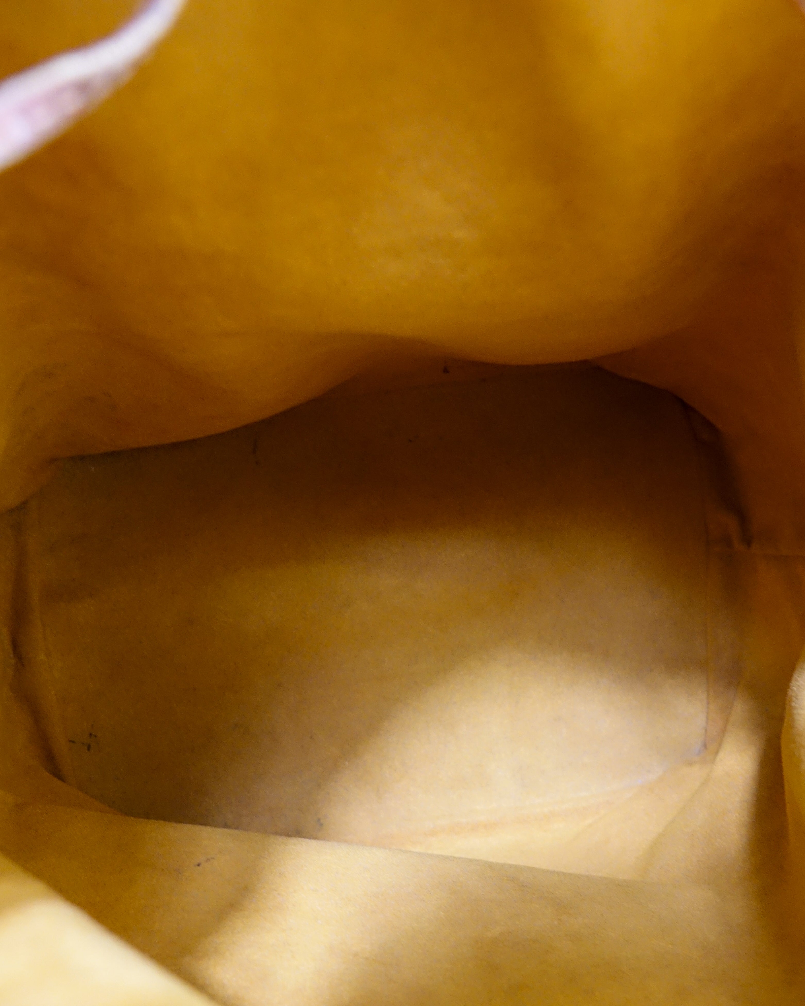 Louis Vuitton Noé GM épi marron Lola Collective