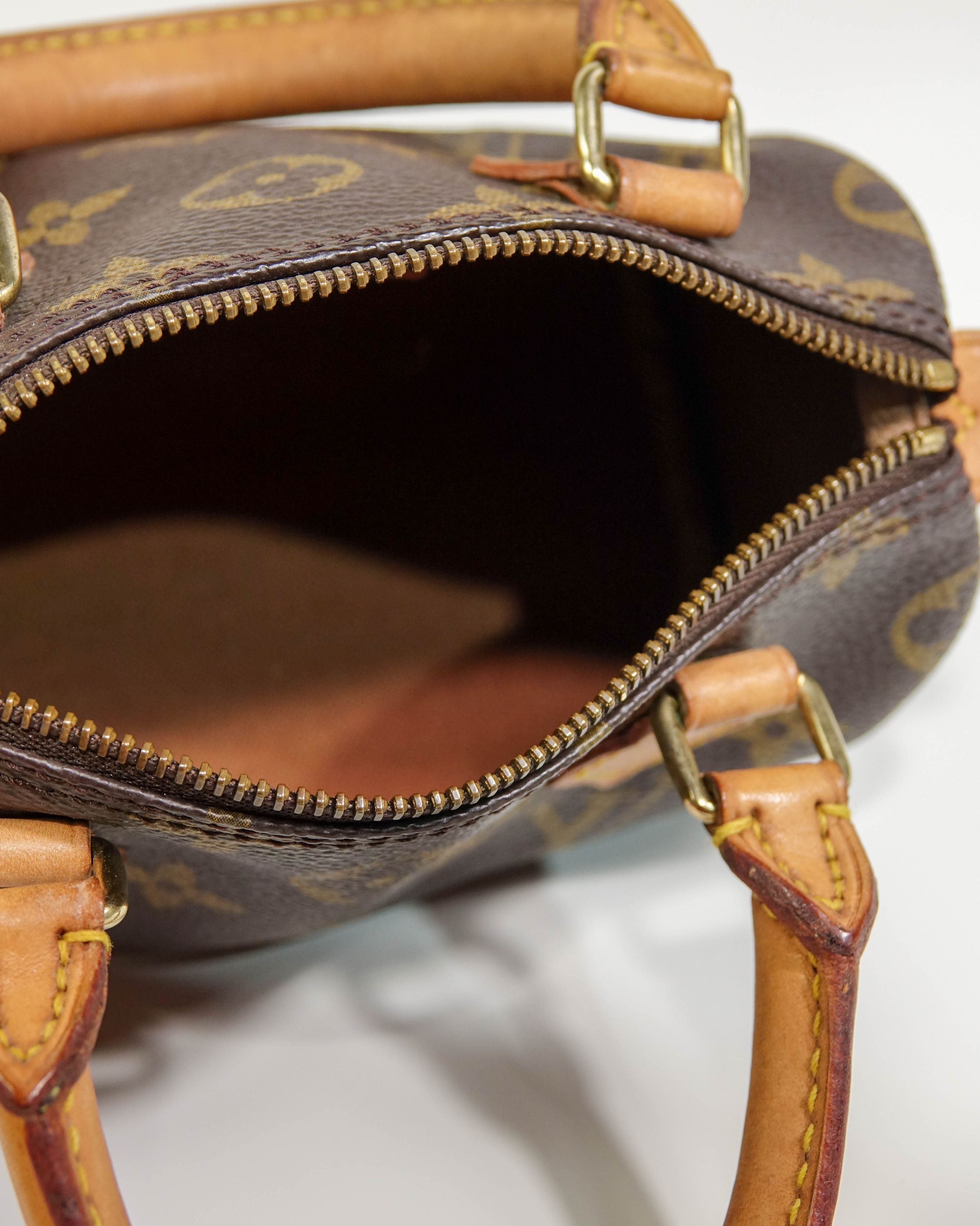 Sac Nano Speedy Louis Vuitton Monogram Lola Collective