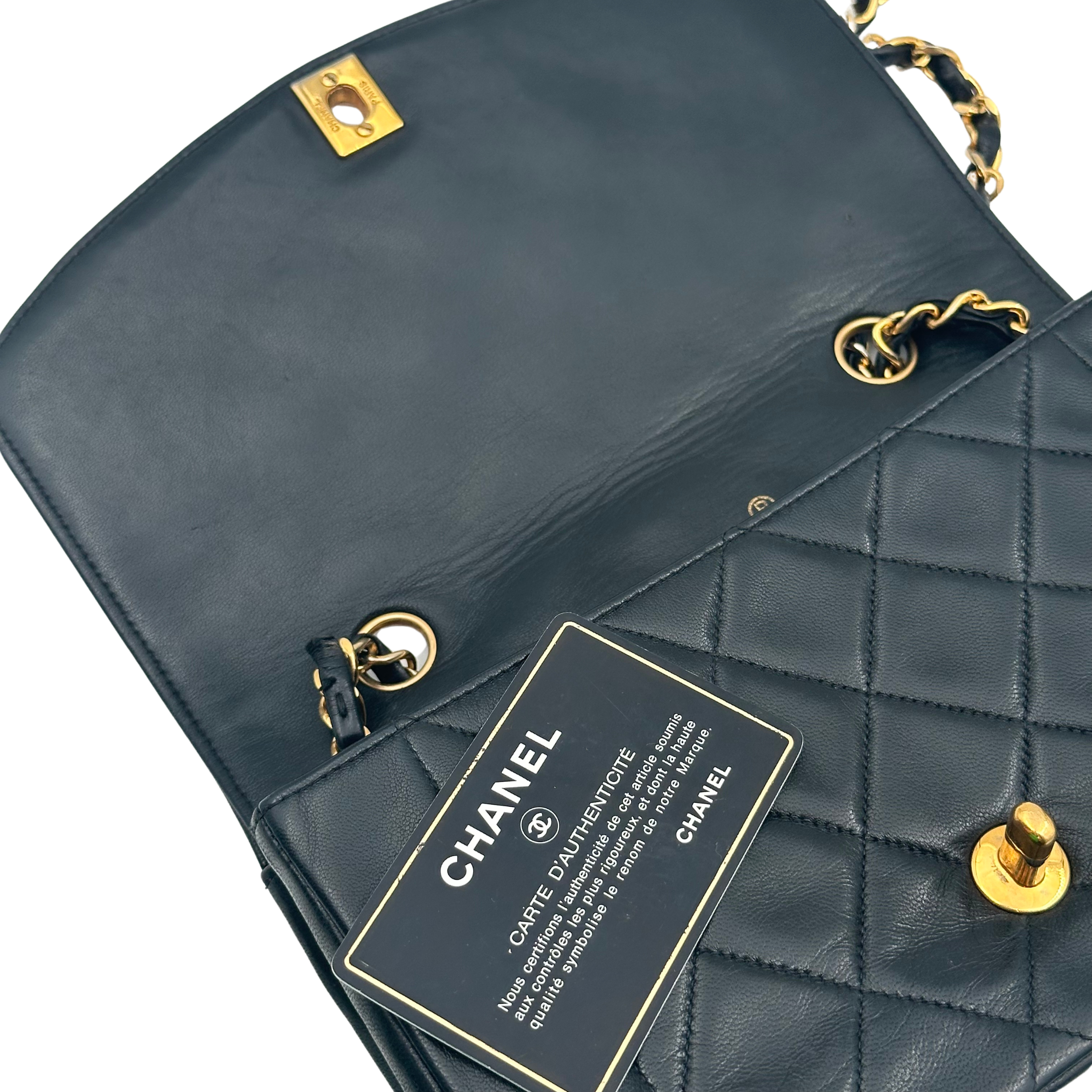 CLASSIC DIANA SMALL - CHANEL Lola Collective