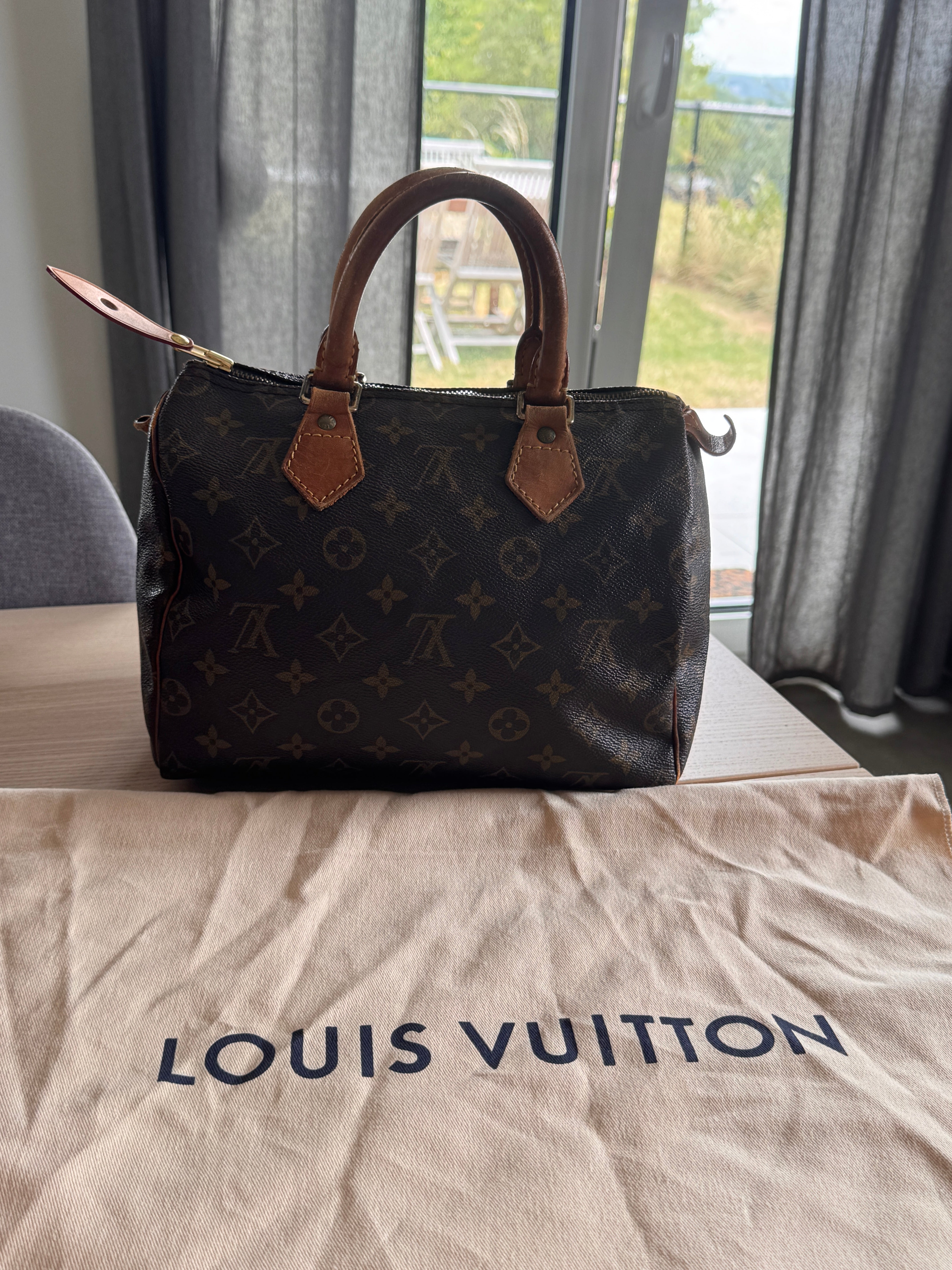 Louis Vuitton Speedy 25 monogram Lola Collective