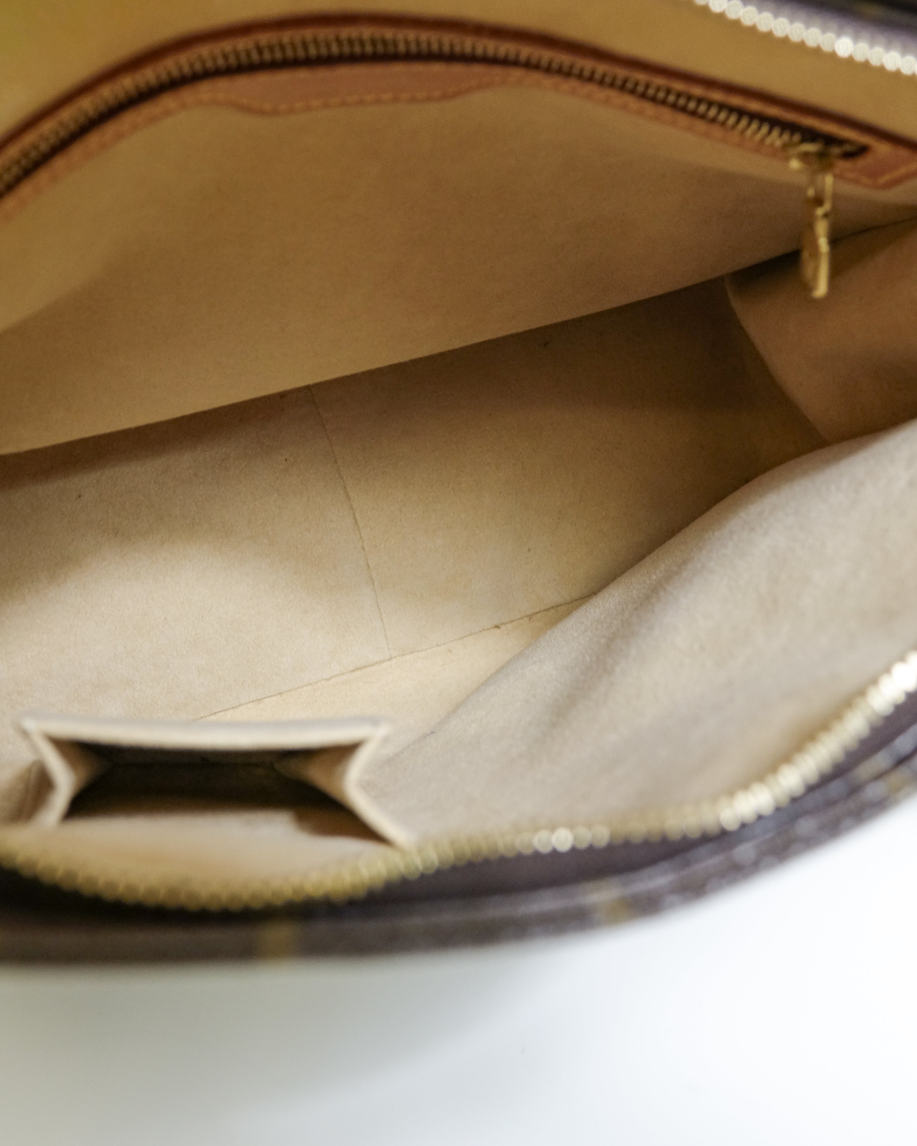 Louis Vuitton Loop GM monogram Lola Collective