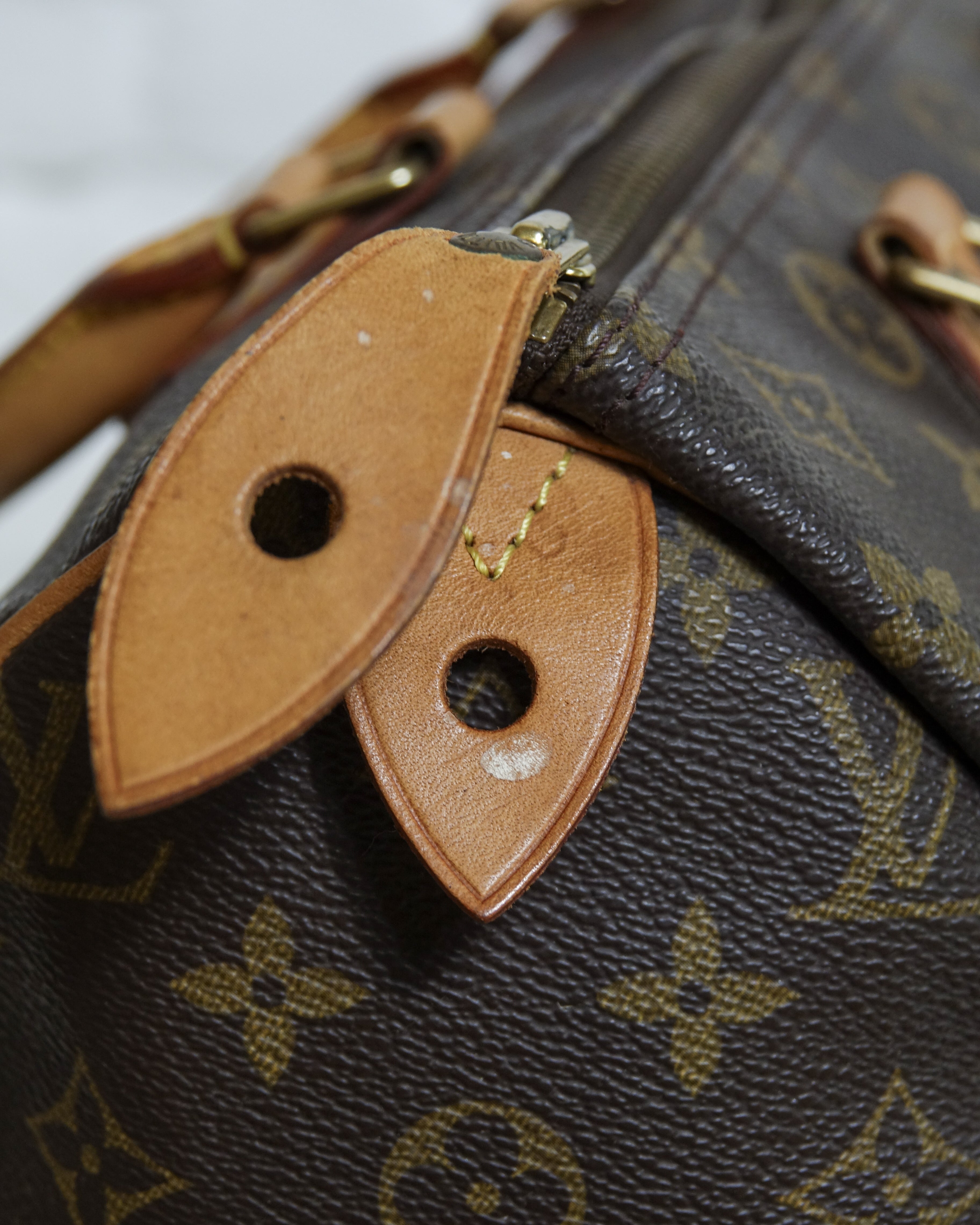 Louis Vuitton Speedy 30 monogram Lola Collective
