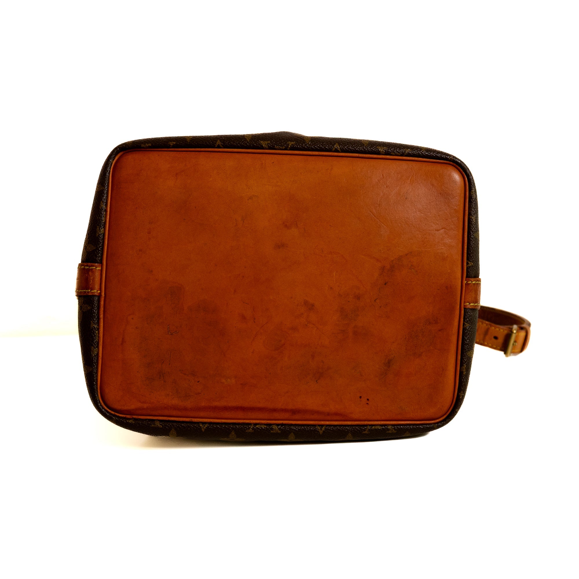 Louis Vuitton Noé PM monogram Lola Collective